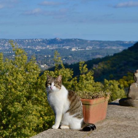 Amoureux Du Calme Et De La Nature Tanneron Екстериор снимка
